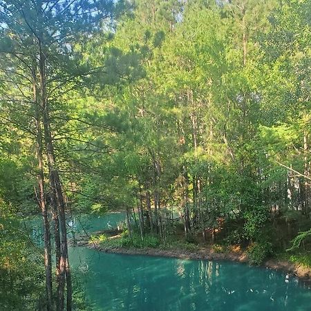 Waterfront Treehouse In A Magical Forest Waller Exteriér fotografie