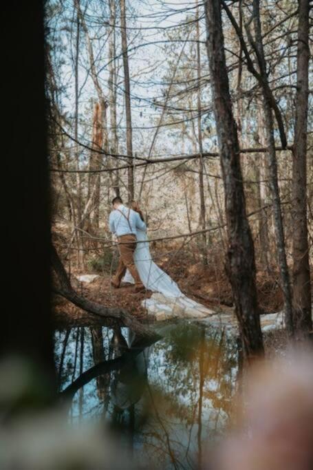 Waterfront Treehouse In A Magical Forest Waller Exteriér fotografie